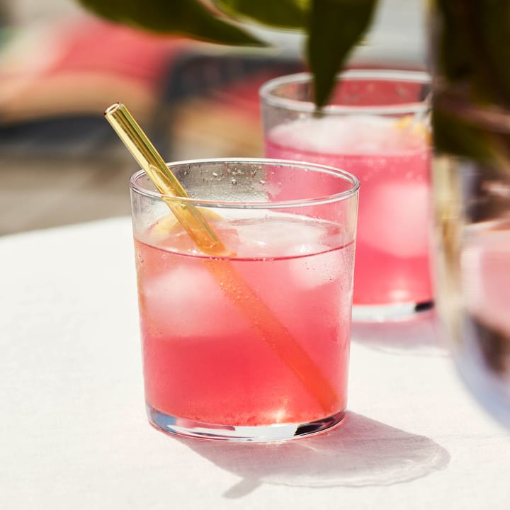 Sip Cocktail rietjes 6-pack, Multi HAY
