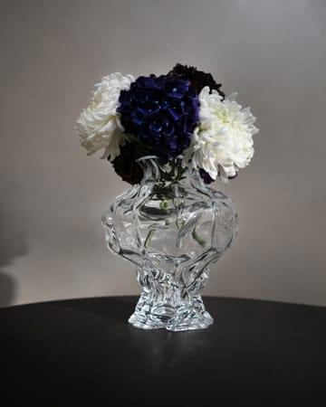Ammoniet vaas 30 cm - Clear - Hein Studio