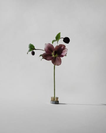 Kenzan vaas - Ø2,3 cm - Hein Studio