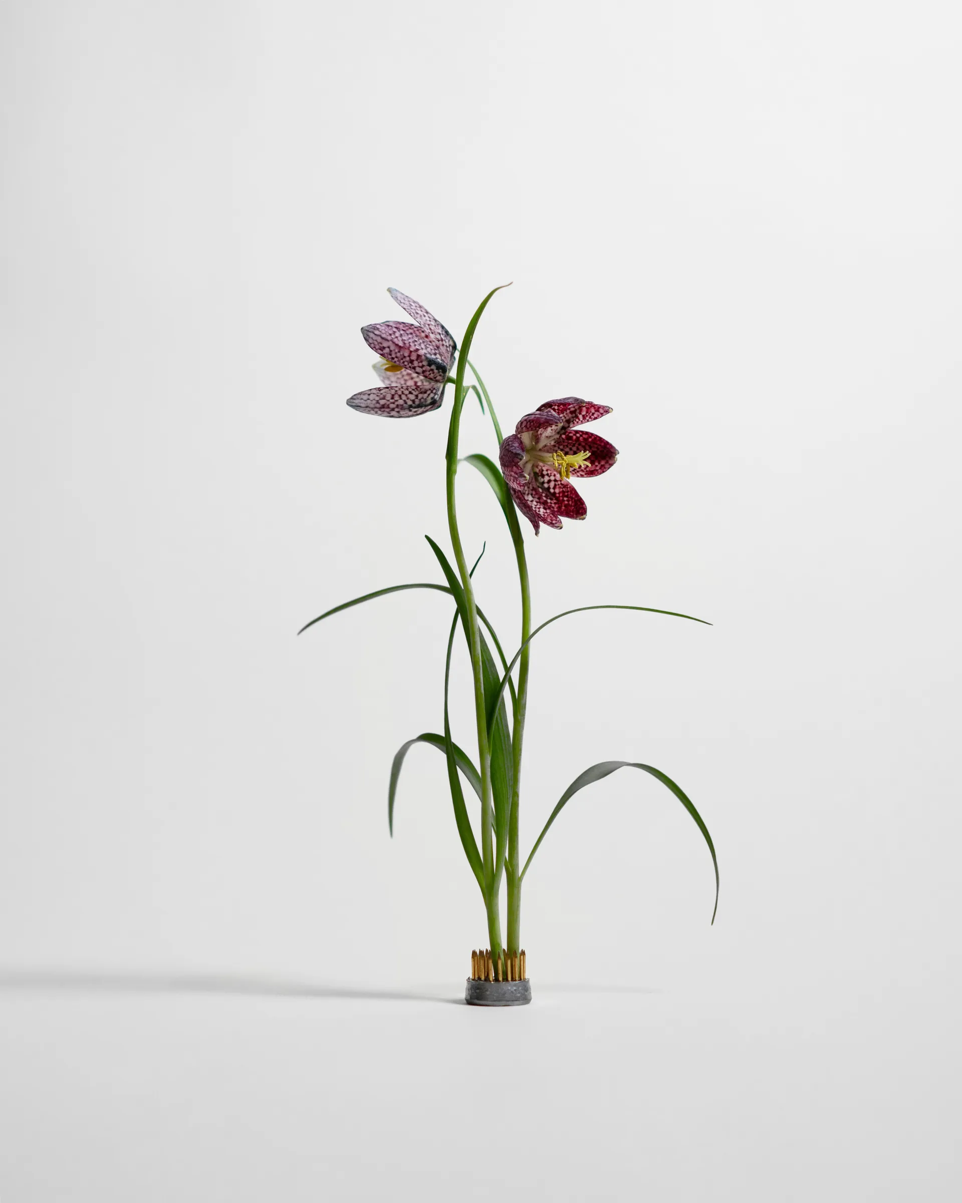 Kenzan vaas, Ø2,3 cm Hein Studio