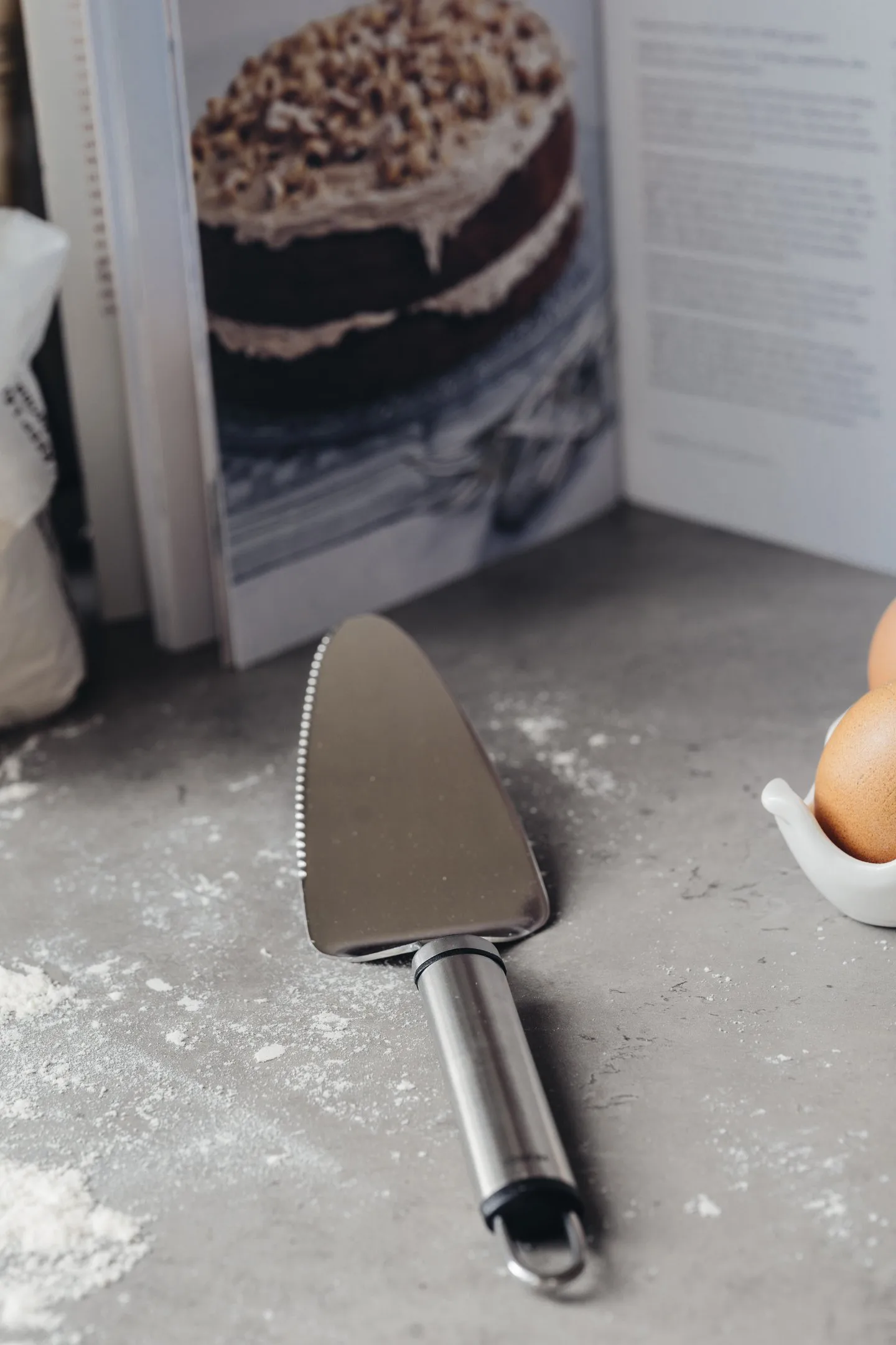 Heirol Steely taartschep, Roestvrij staal Heirol