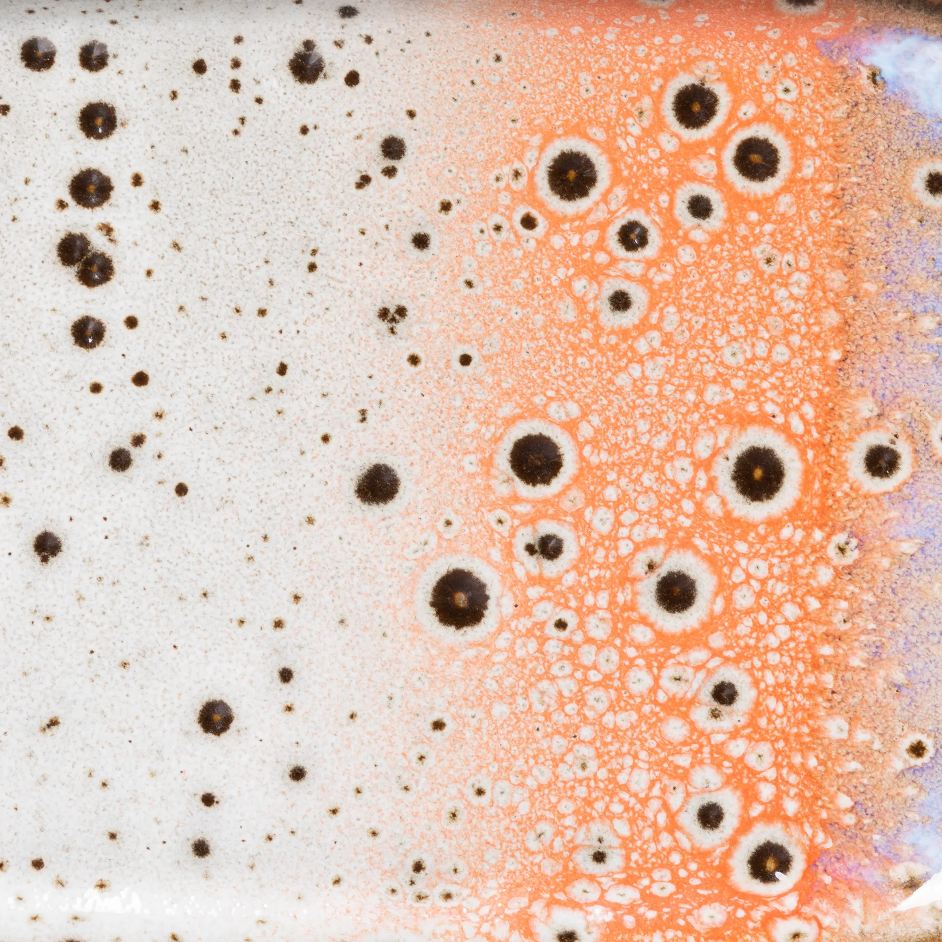 70's dienblad klein 2-pack, Asteroids / Grass HKliving