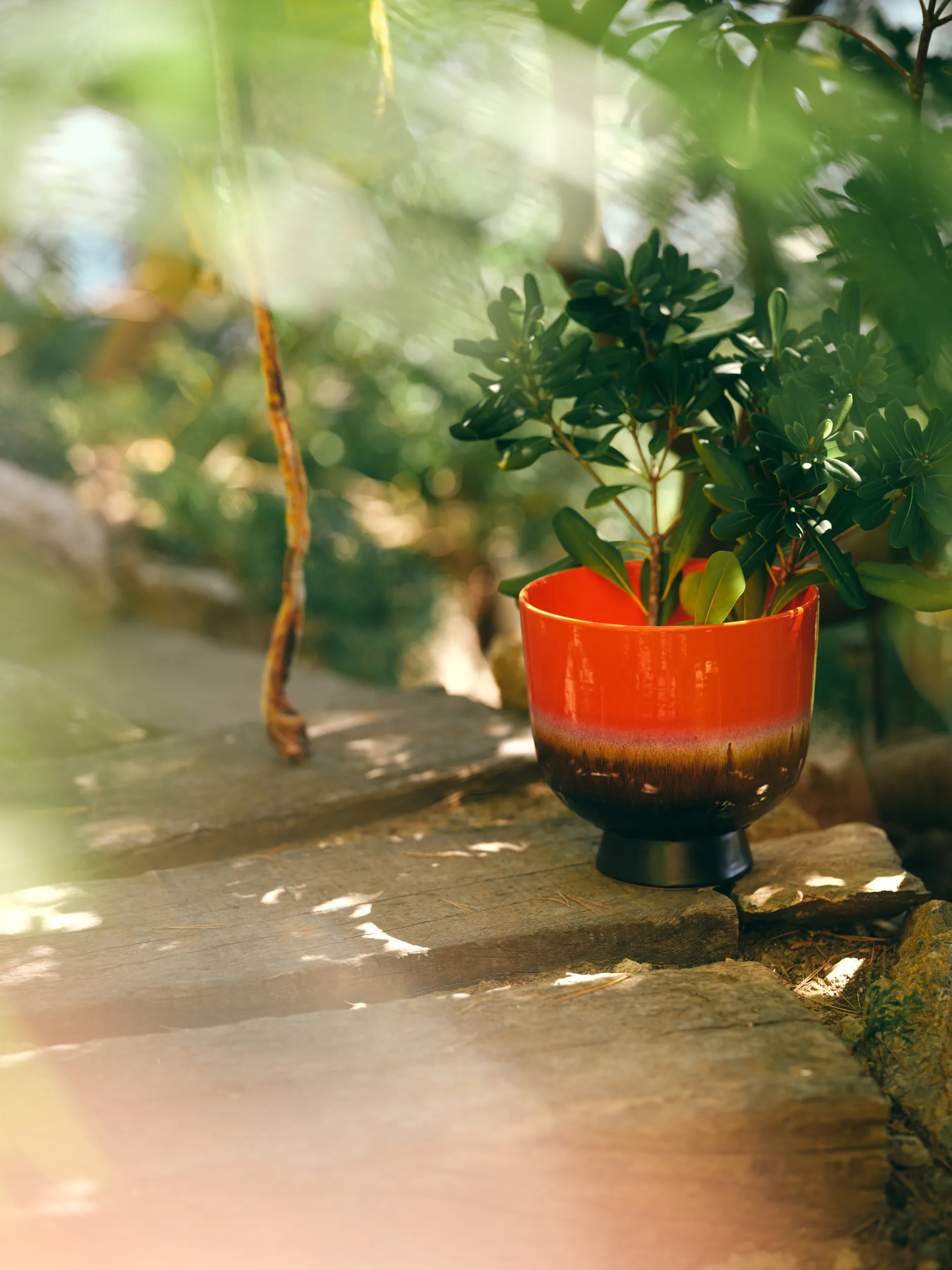 Retro bloempot Ø20,5 cm, Cherry red HKliving