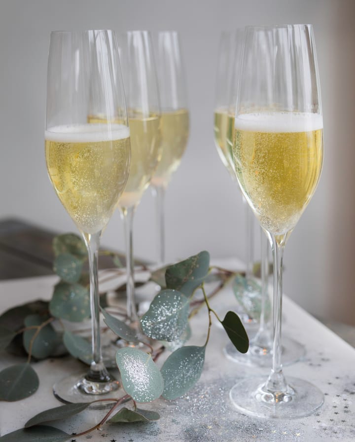 Cabernet champagneglas 29 cl 6-pack
 - Transparant - Holmegaard