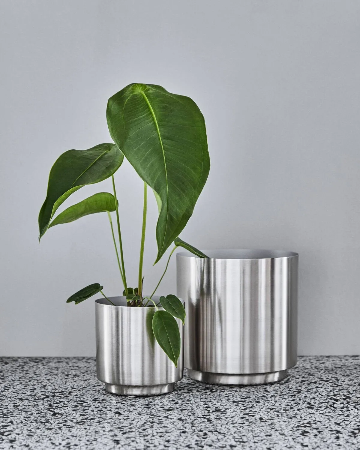 Bailey bloempot 2-delig, Silver finish House Doctor