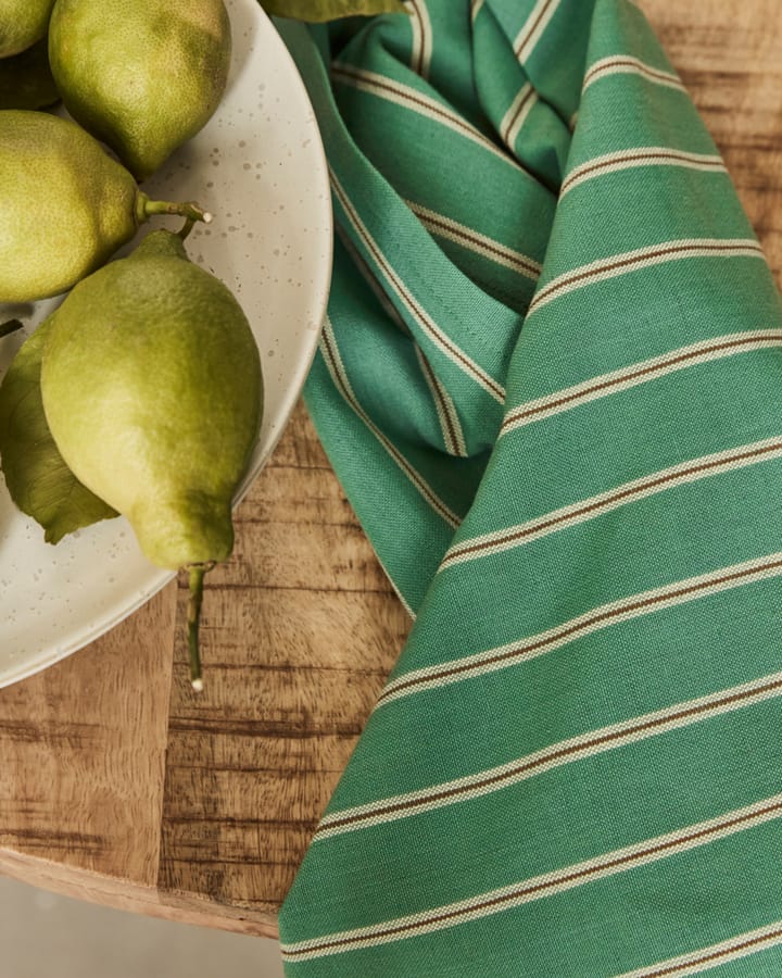 Cook theedoek 55x75 cm 3-pack, Groen House Doctor