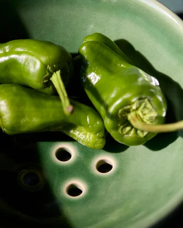 Diva schaal Ø12x4,5 cm - Groen - House Doctor