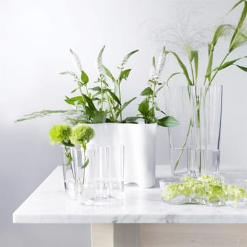 Alvar Aalto duo vaas - helder - Iittala