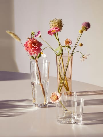 Alvar Aalto vaas Rio bruin - 180 mm - Iittala