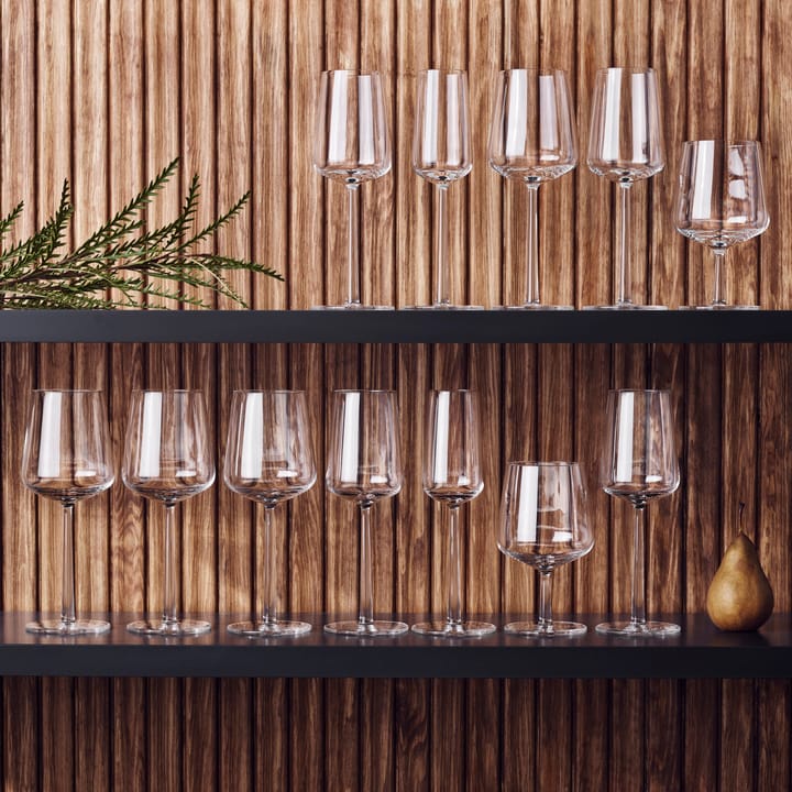 Essence bierglas 2-pack, 2-pack Iittala
