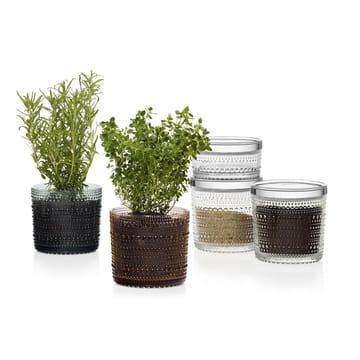 Kastehelmi pot groot - clear (helder) - Iittala