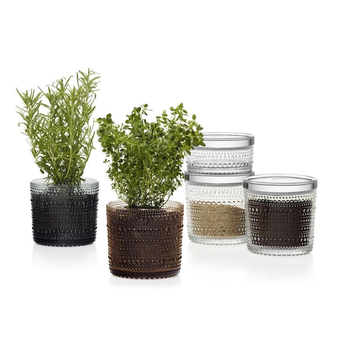 Kastehelmi pot groot, clear (helder) Iittala