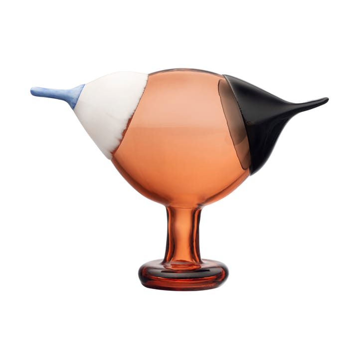 Kustskata 250x175 mm vogels door Toikka - Bitter sinaasappel - Iittala