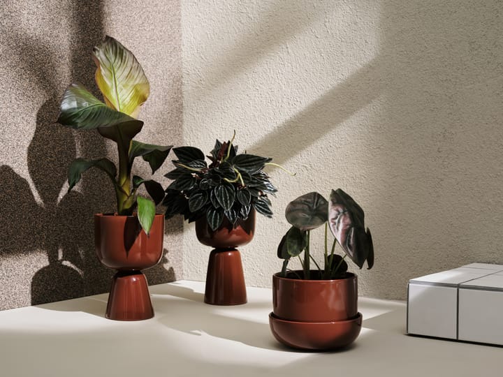 Nappula bloempot Ø15.5 cm h23 cm, Bruin Iittala