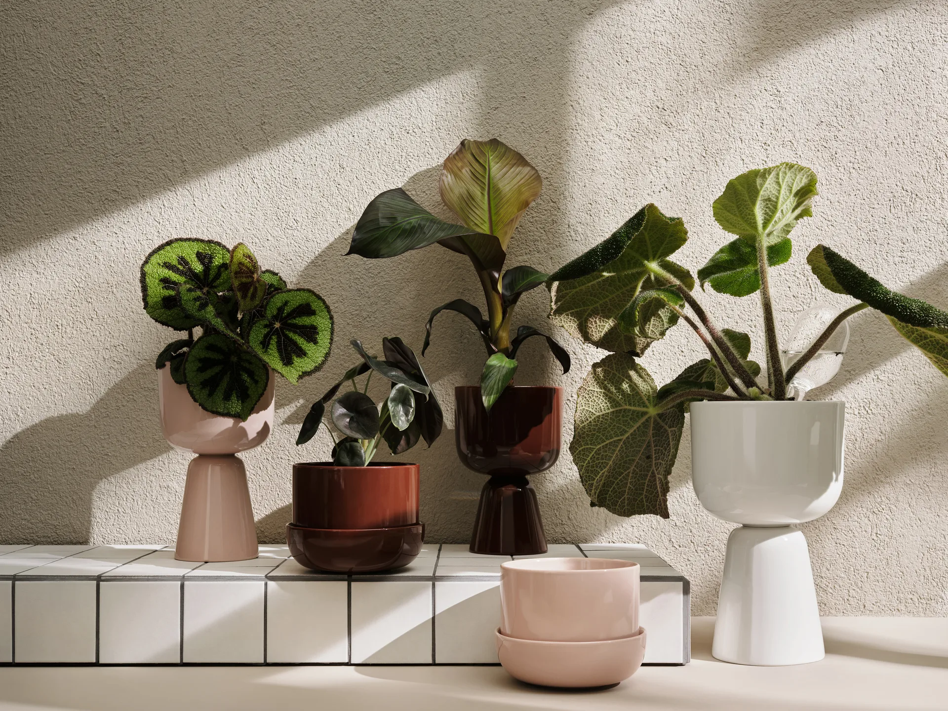 Nappula pot h32 cm Ø19 cm, Wit Iittala