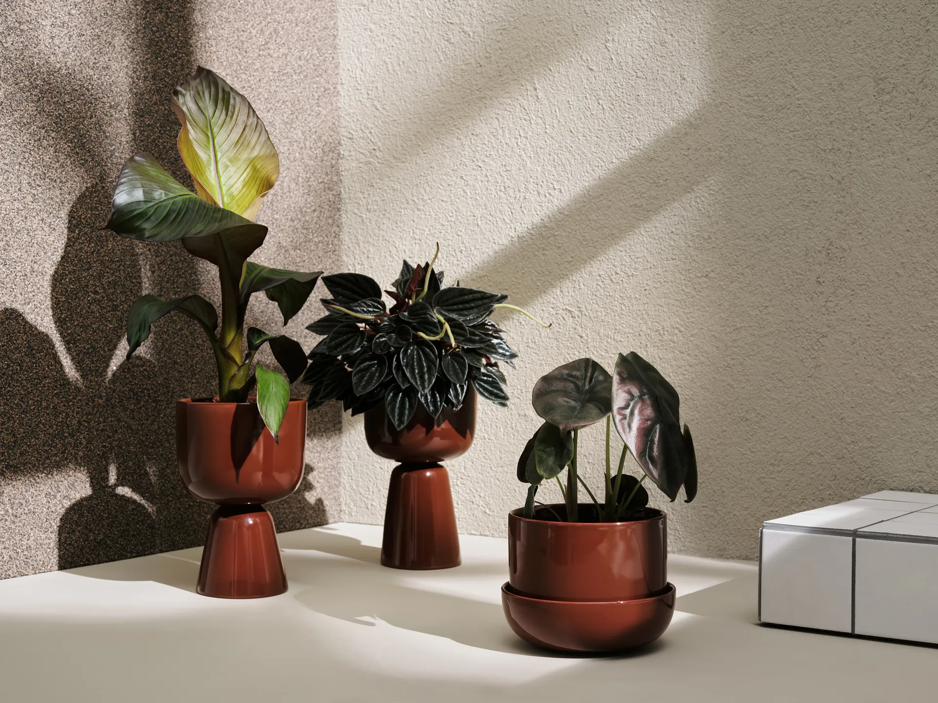 Nappula pot met schotel Ø17 cm h13 cm, Bruin Iittala