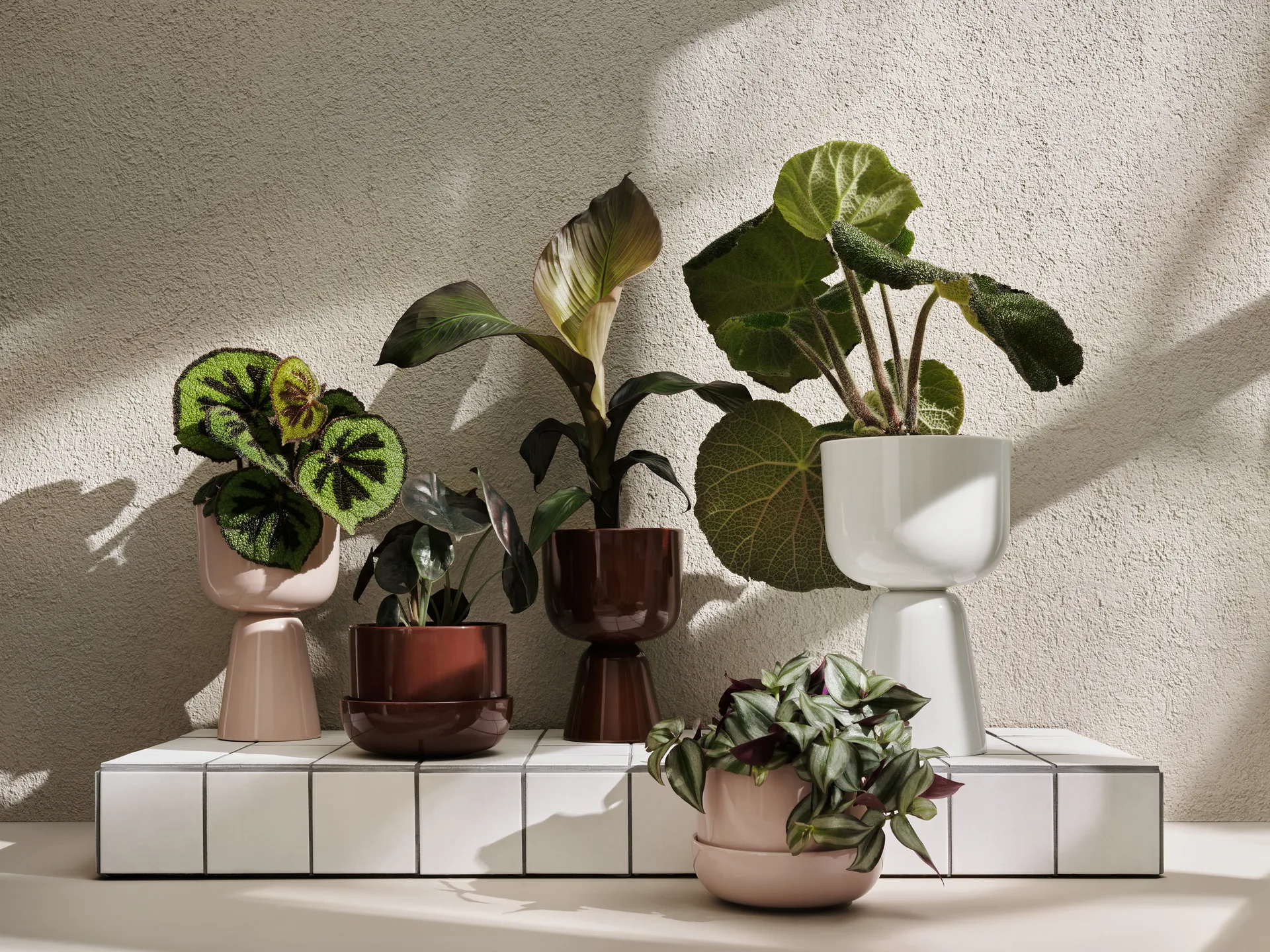 Nappula pot met schotel Ø17 cm h13 cm, Bruin Iittala