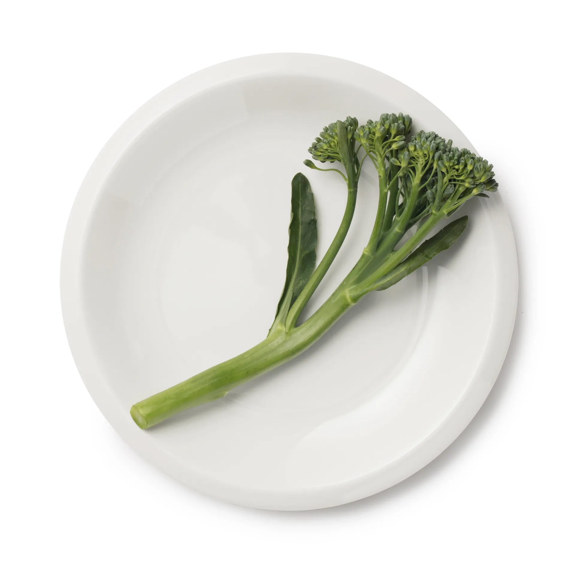 Raami bordje 17 cm, Wit Iittala