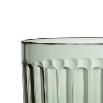 Raami drinkglas 26 cl 2-pack - Dennengroen - Iittala