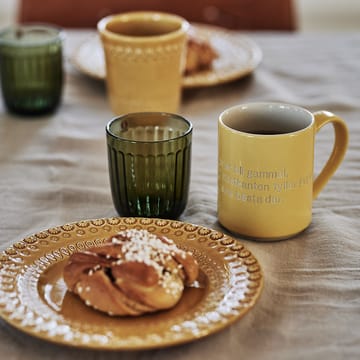 Raami drinkglas 26 cl 2-pack - Mosgroen - Iittala