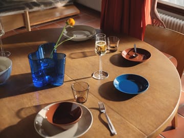 Teema bord Ø17 cm - Vintage blauw - Iittala