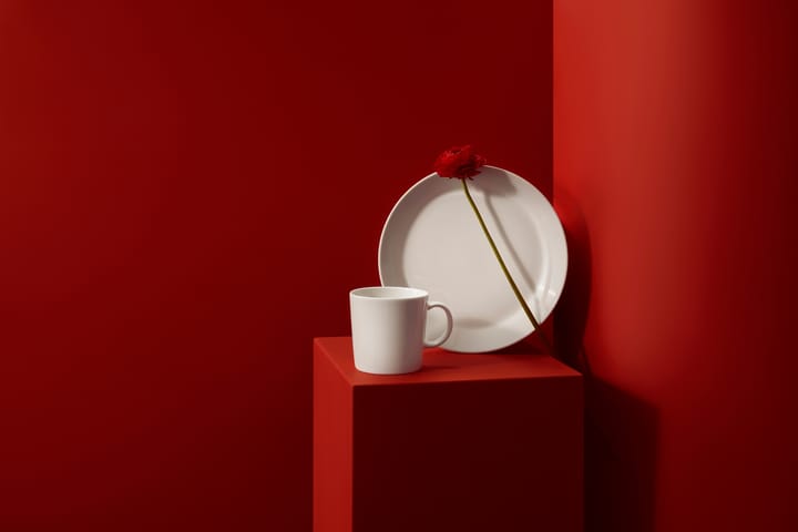 Teema starter set, 16-delig Iittala