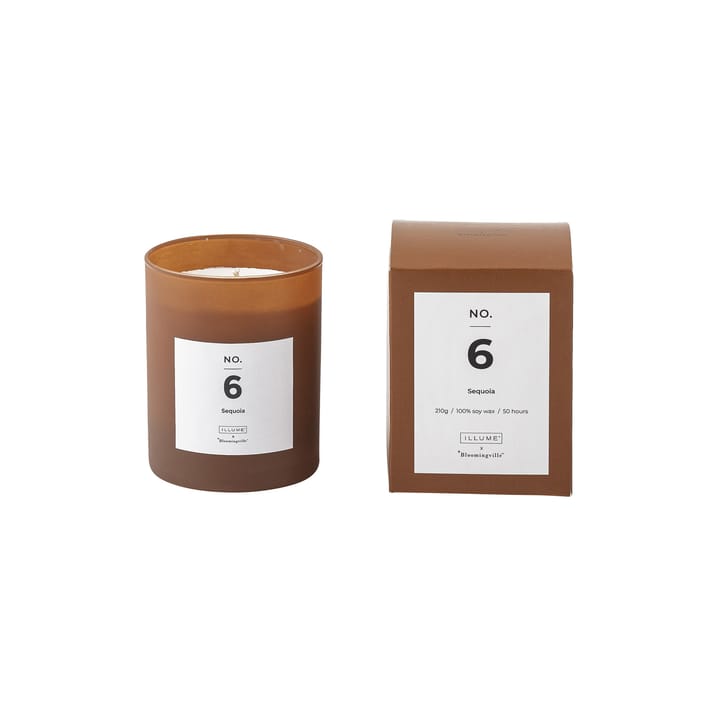 NO. 6 Sequoia geurkaars - 200 g + Giftbox - Illume x Bloomingville