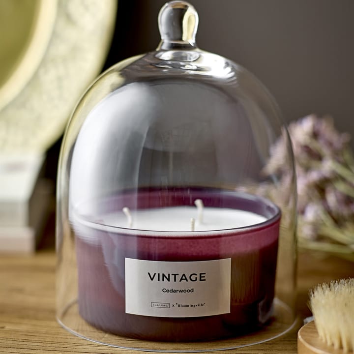 Vintage Cedarwood geurkaars, 250 g Illume x Bloomingville