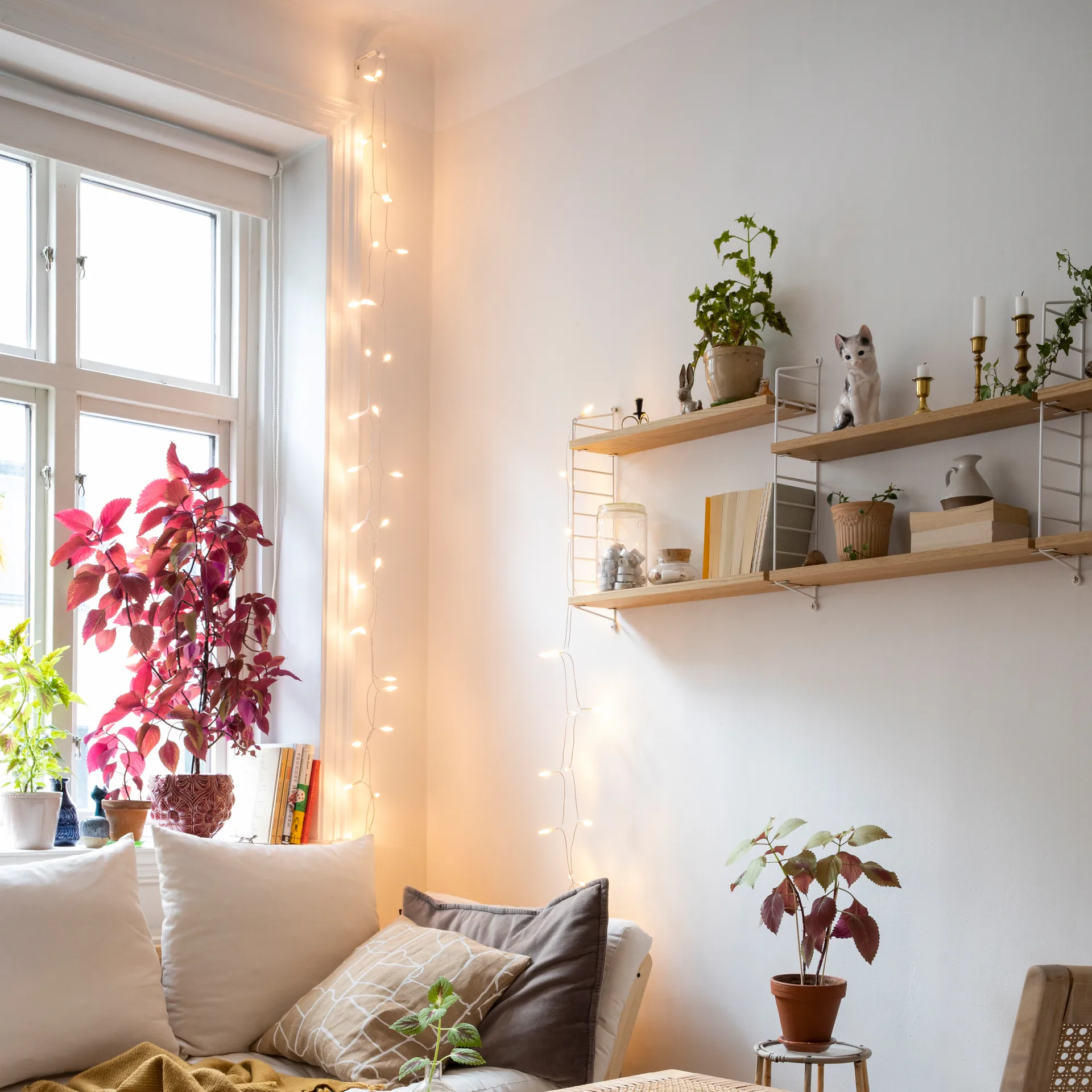 Irislights extra lichtsnoer, 35 ballen Irislights