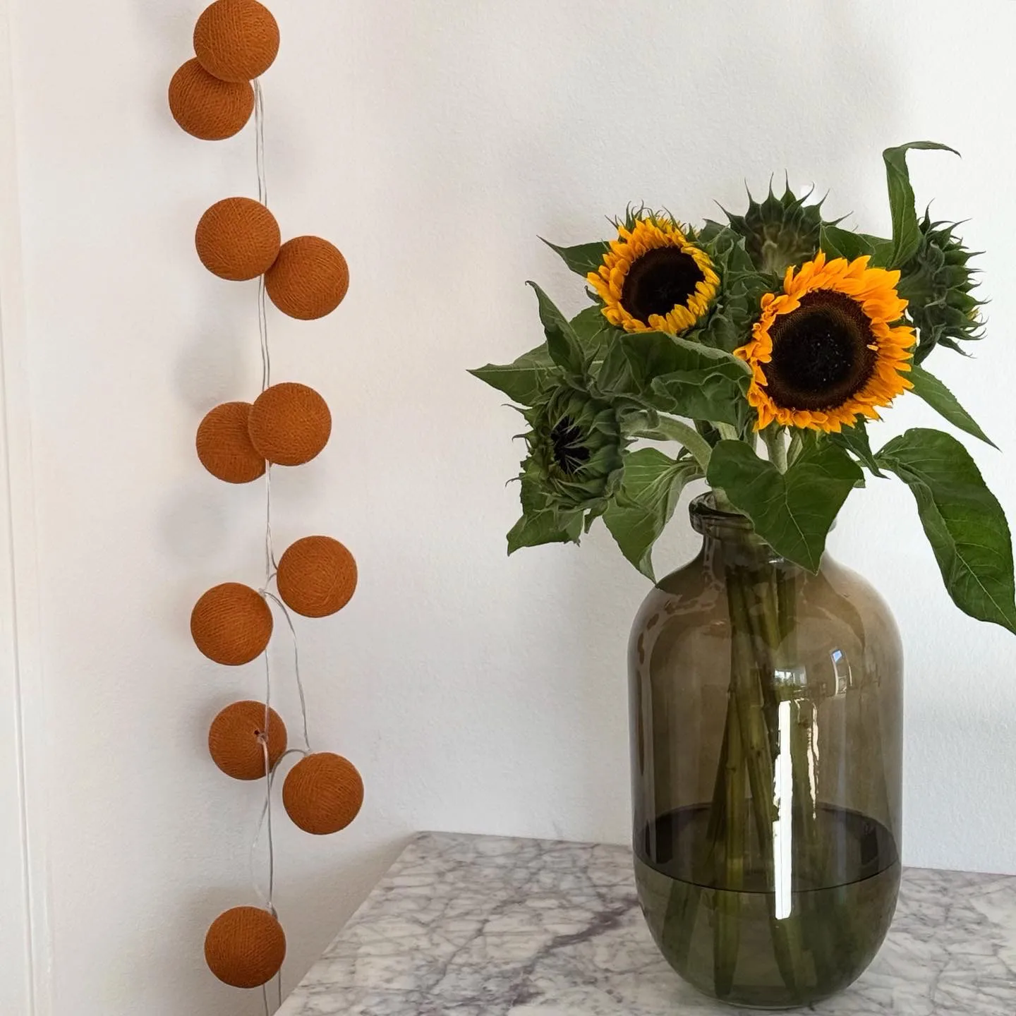 Irislights lichtslinger, Terracotta, 20 bollar Irislights