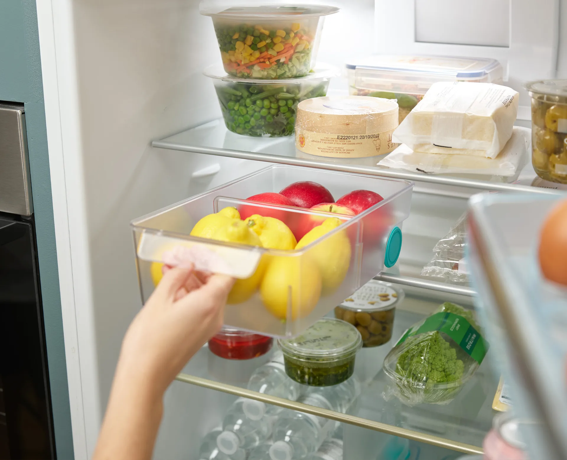 Fridgestore koelkastopslag large, Transparant Joseph Joseph