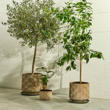 Gro pot met schotel licht-zand - Ø 43 cm - Kähler