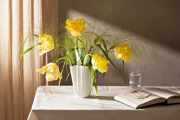 Hammershøi vaas unfold - Wit, 20,5 cm - Kähler