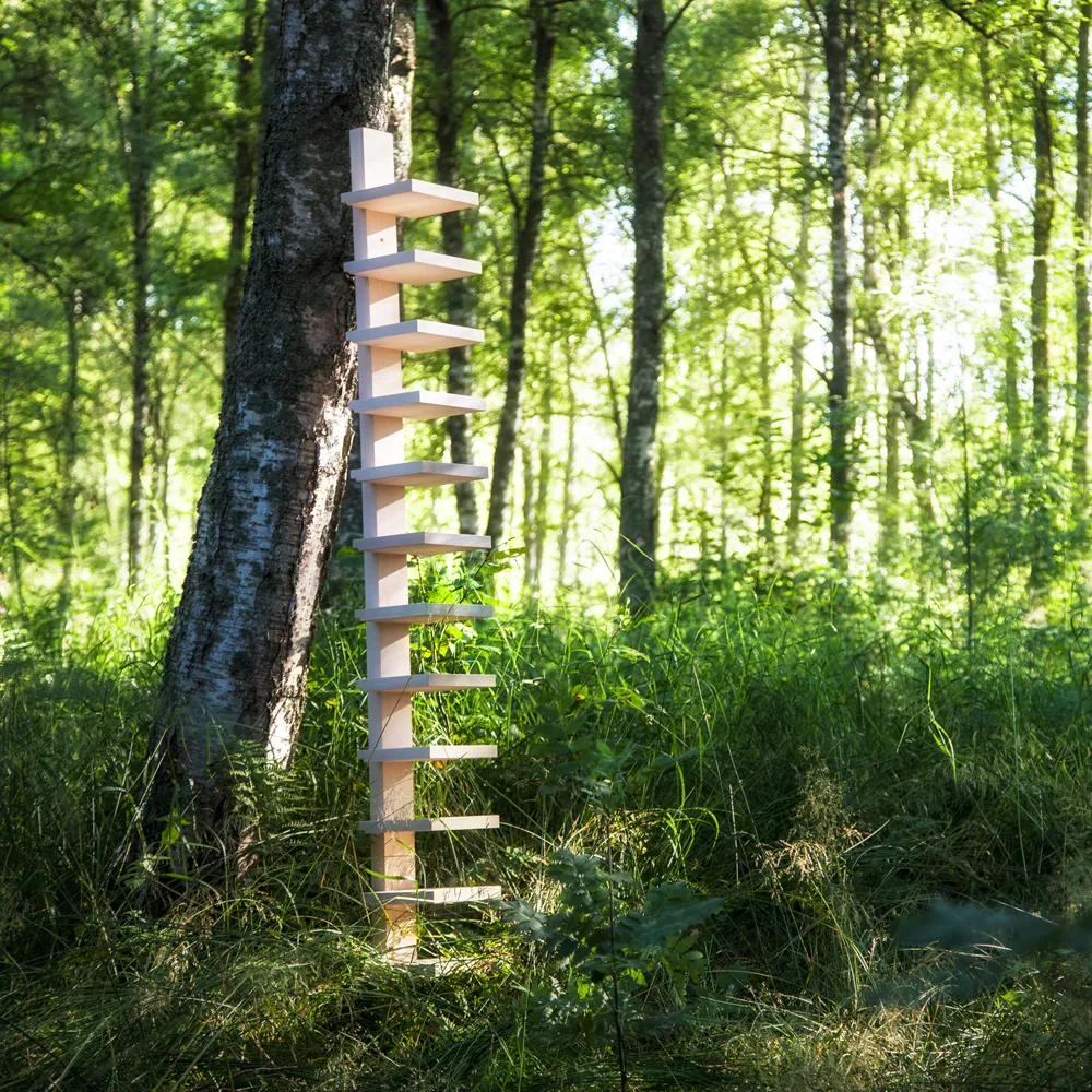 Pilaster wandplank, Gezepen berken Källemo