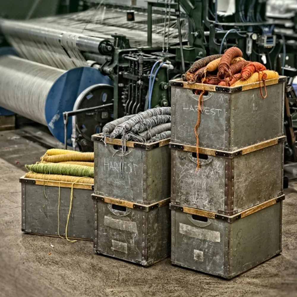 Harvest vloerkleed, Blauw 240x170 cm Kasthall