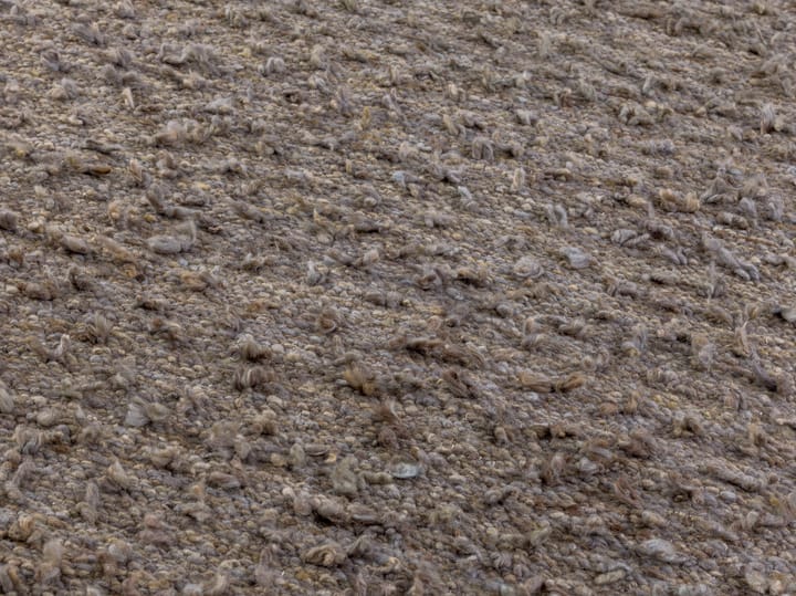 Woolly vloerkleed, Light brown 200x300 cm Kateha