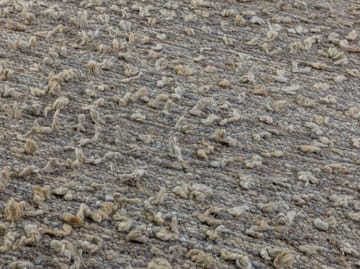 Woolly vloerkleed - Light grey 200x300 cm - Kateha