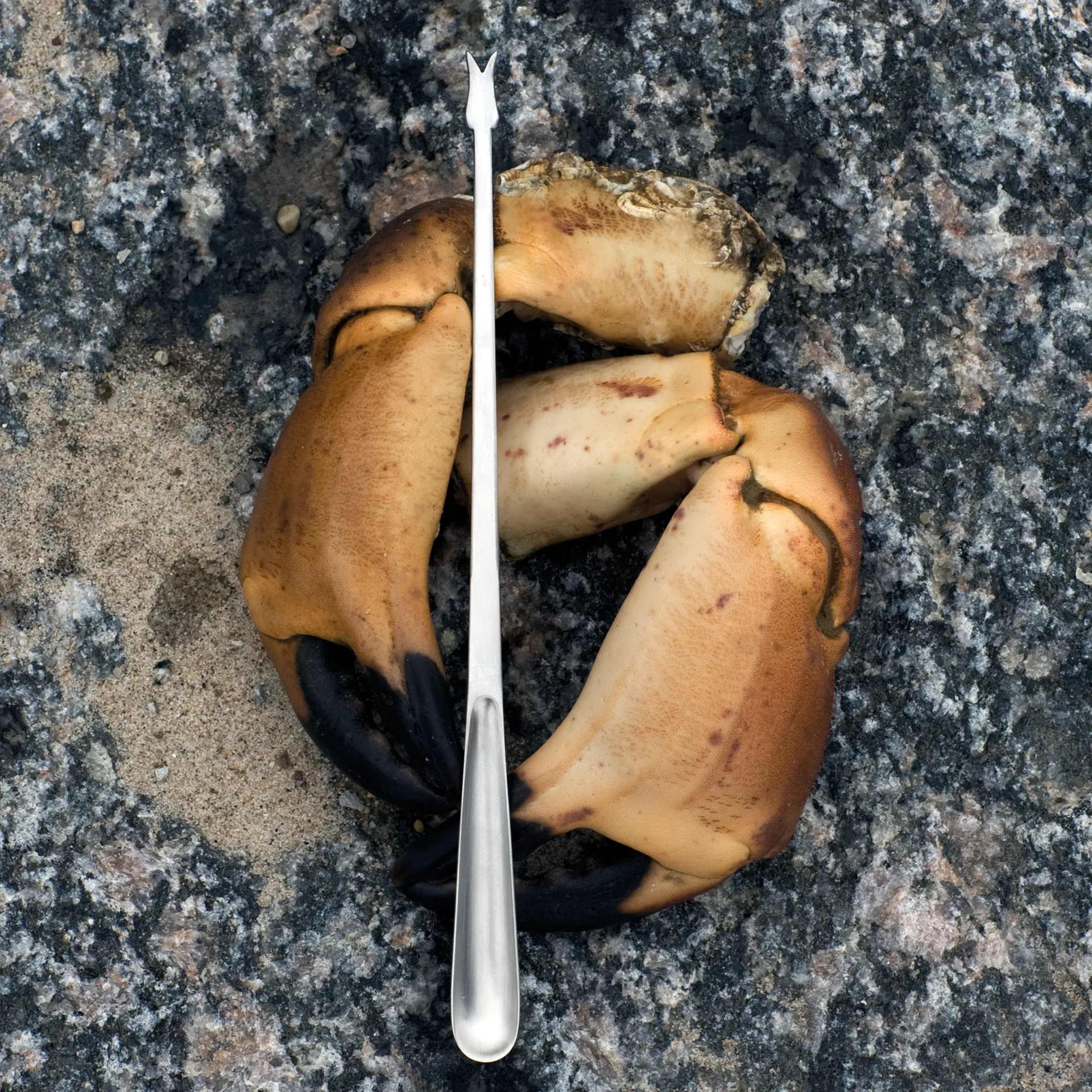 Grand Prix schaaldierenbestek 8-delig, Matte steel Kay Bojesen