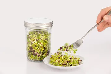 Kilner kiemset - Helder-wit, 500 ml - Kilner