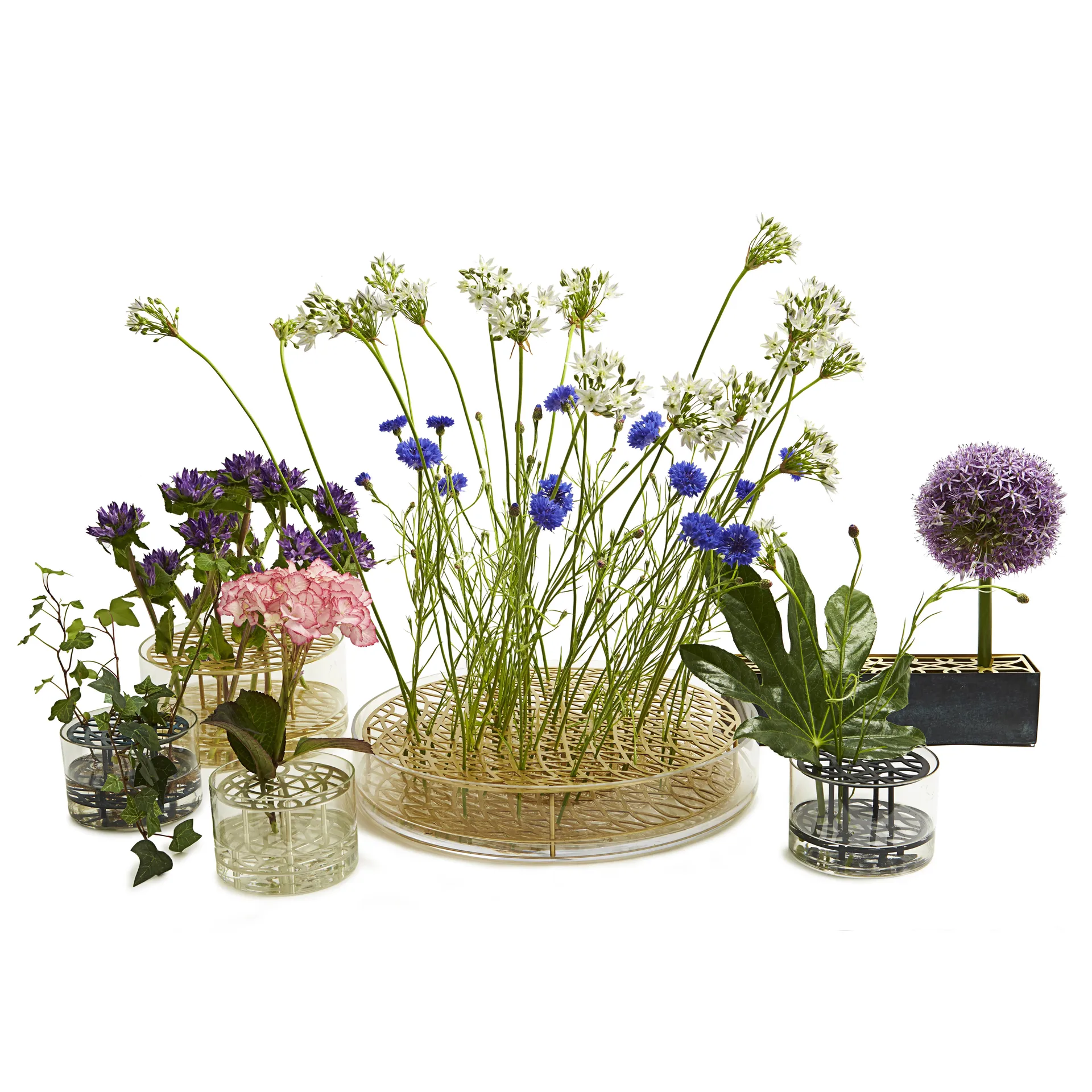 Äng vaas - klein, zwart KLONG