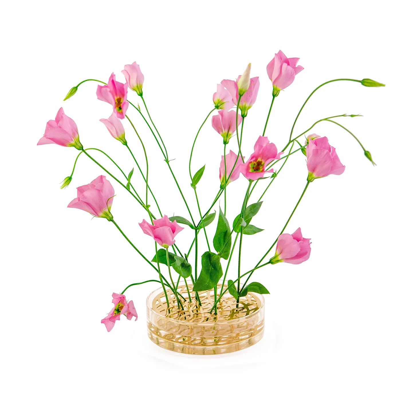 Äng vaas, pond, Messing KLONG