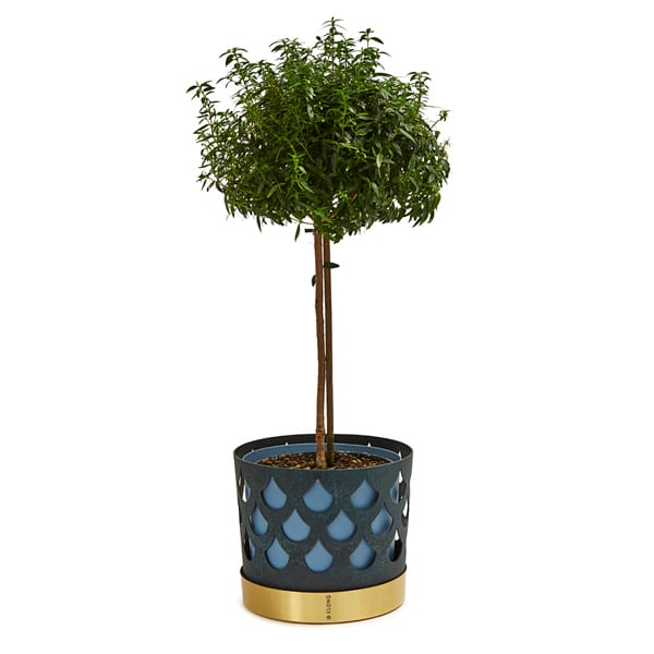 Trio bloempot drop, groot Ø28 cm, Blauw KLONG