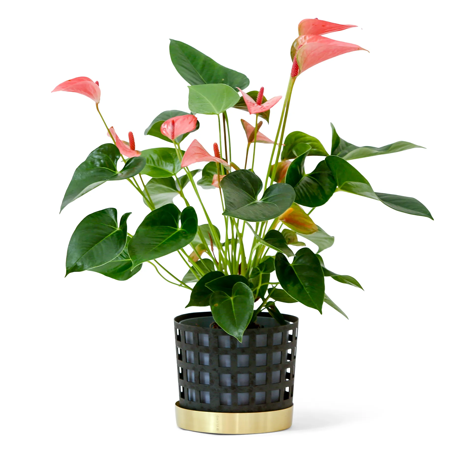 Trio bloempot square - middel, blauw KLONG