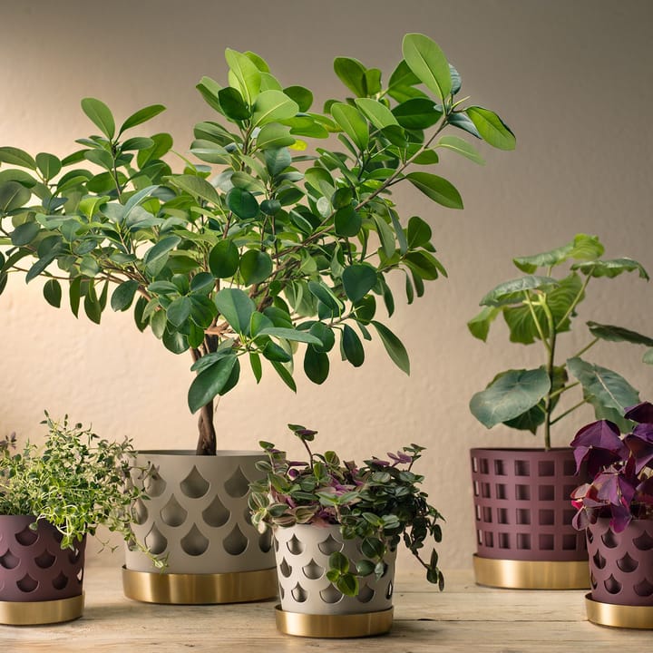 Trio Drop bloempot beige met schotel van messing, Small Ø12 cm KLONG
