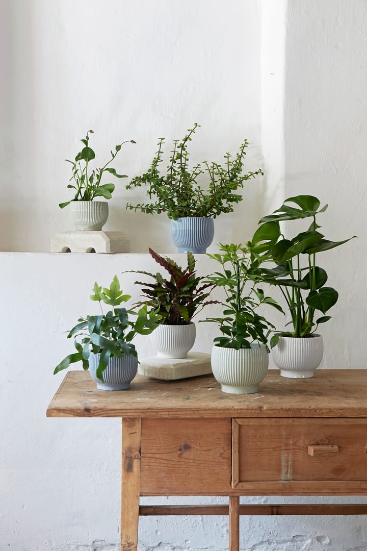 Knabstrup pot geribbeld Ø16,5 cm, Mintgroen Knabstrup Keramik