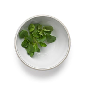 Tavola deegkom 0,5 L 2-pack - Wit - Knabstrup Keramik