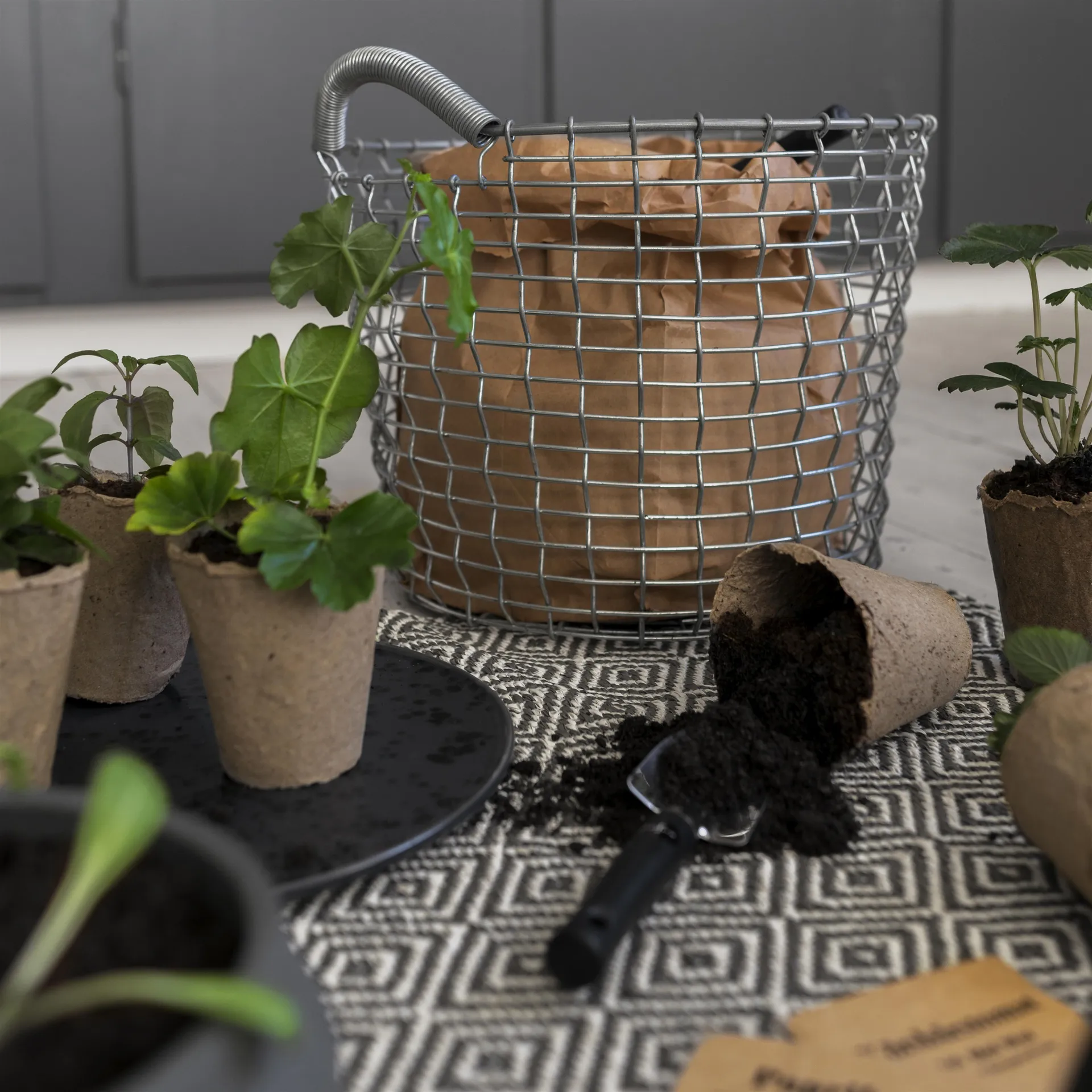 Korbo bak 16, verzinkt staal KORBO