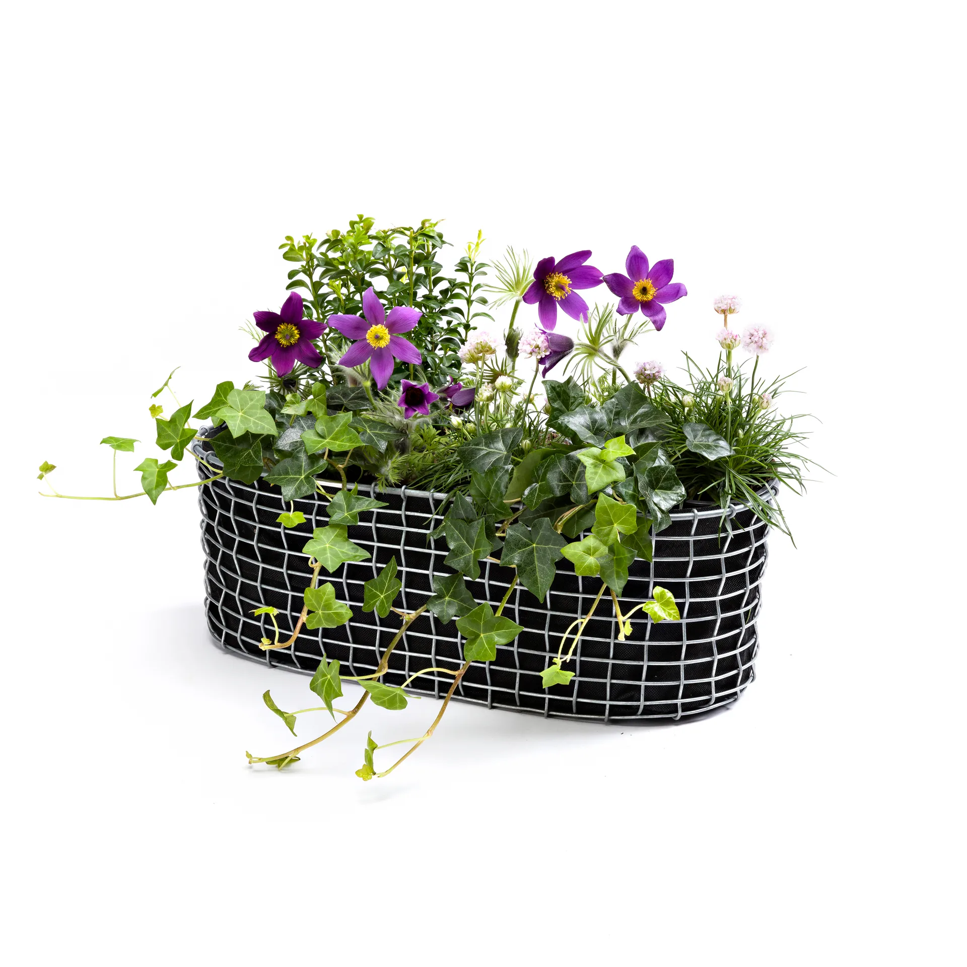 Korbo balkonmand, Zuurvrij staal KORBO