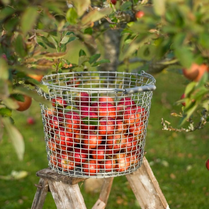 Korbo bucket 24, gegalvaniseerd staal KORBO