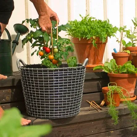 Korbo classic 24, verzinkt staal KORBO